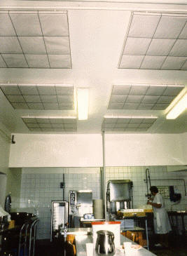 Renett noise absorber for ceilings where there are high demands on hygien