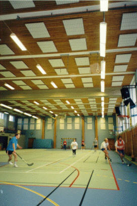 Sport noise absorbers mounted on wall and ceiling